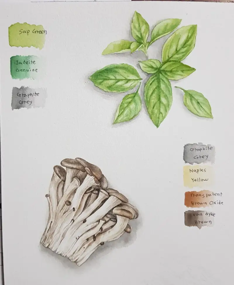 식물,채소,버섯,느타리버섯,바질