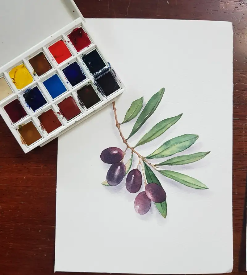 식물,과일,열매,보태니컬,올리브