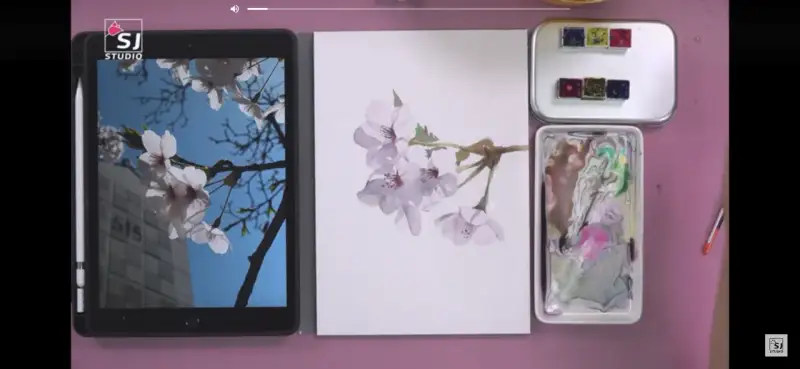 사쿠라코이,사쿠라코이고체물감,고체물감,사쿠라코이수채화,사쿠라코이워터칼라고체물감,수채물감,수채화물감,수채화,시넬리에수채화물감,시넬리에,코이물감,코이