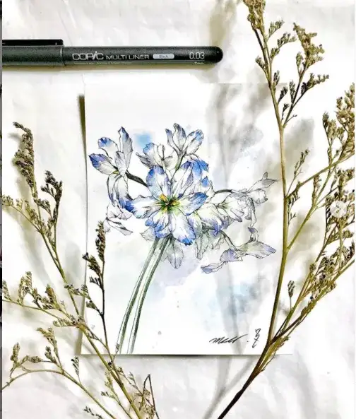 코픽,코픽라이너,코픽일회용멀티라이너,코픽멀티라이너,펜드로잉,펜화,식물,꽃,보태니컬