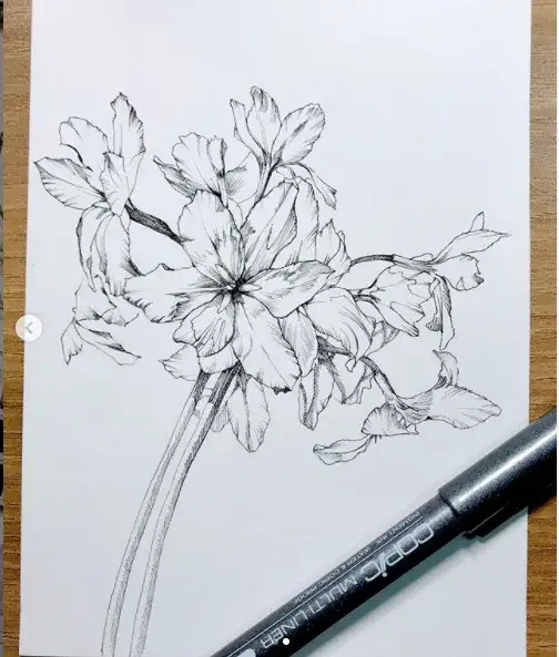 코픽,코픽일회용멀티라이너,코픽멀티라이너,펜드로잉,펜화,식물,꽃,보태니컬