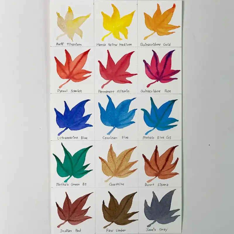 컬러차트,단풍,수채화,단풍잎,다니엘스미스고체물감,다니엘스미스,고체물감