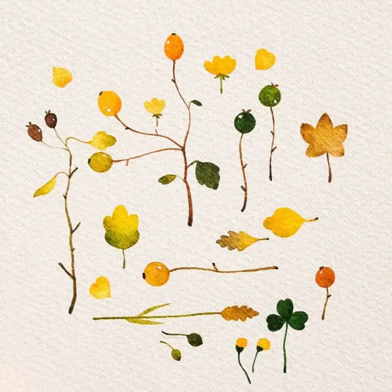 수채화,수채화그림,식물,열매,보태니컬