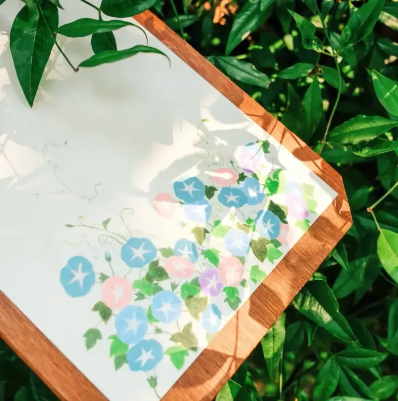 나팔꽃,꽃,식물,보태니컬,색연필,색연필화,포스터패드