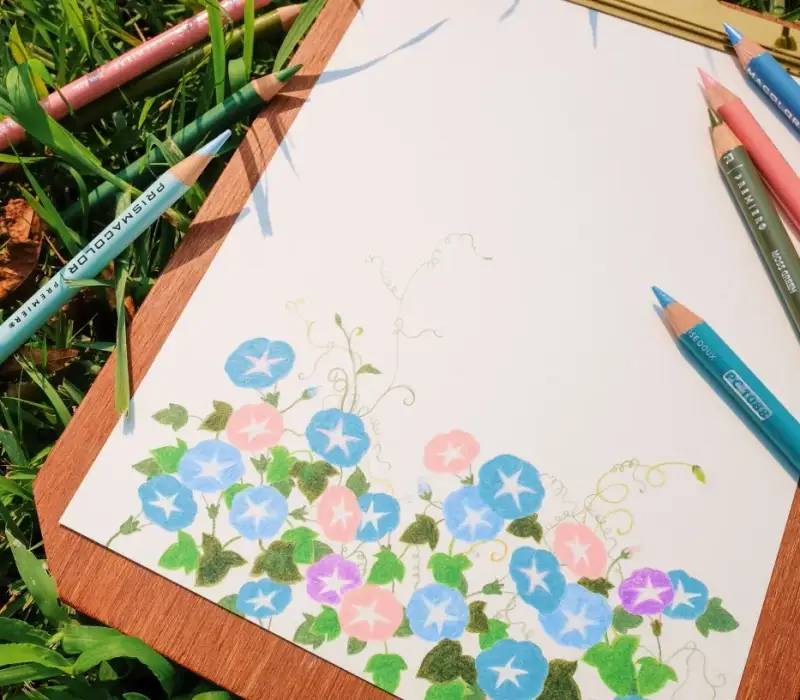 프리즈마색연필,프리즈마유성색연필,포스터패드,식물,꽃,나팔꽃,덩쿨,뮤즈포스터패드,니카포스터패드,과슈종이,뮤즈드로잉패드