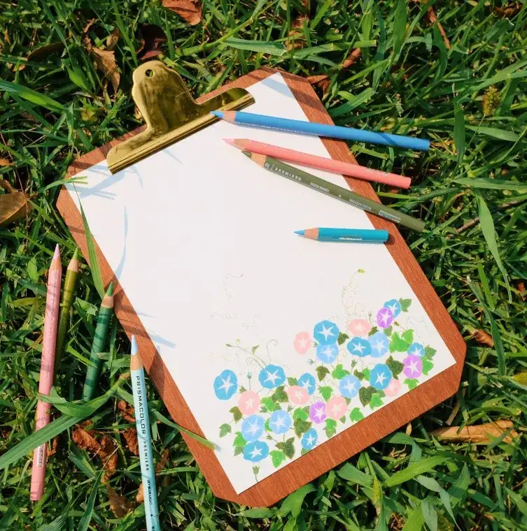 포스터패드,프리즈마색연필,색연필화,색연필그림,나팔꽃,꽃,식물,덩쿨