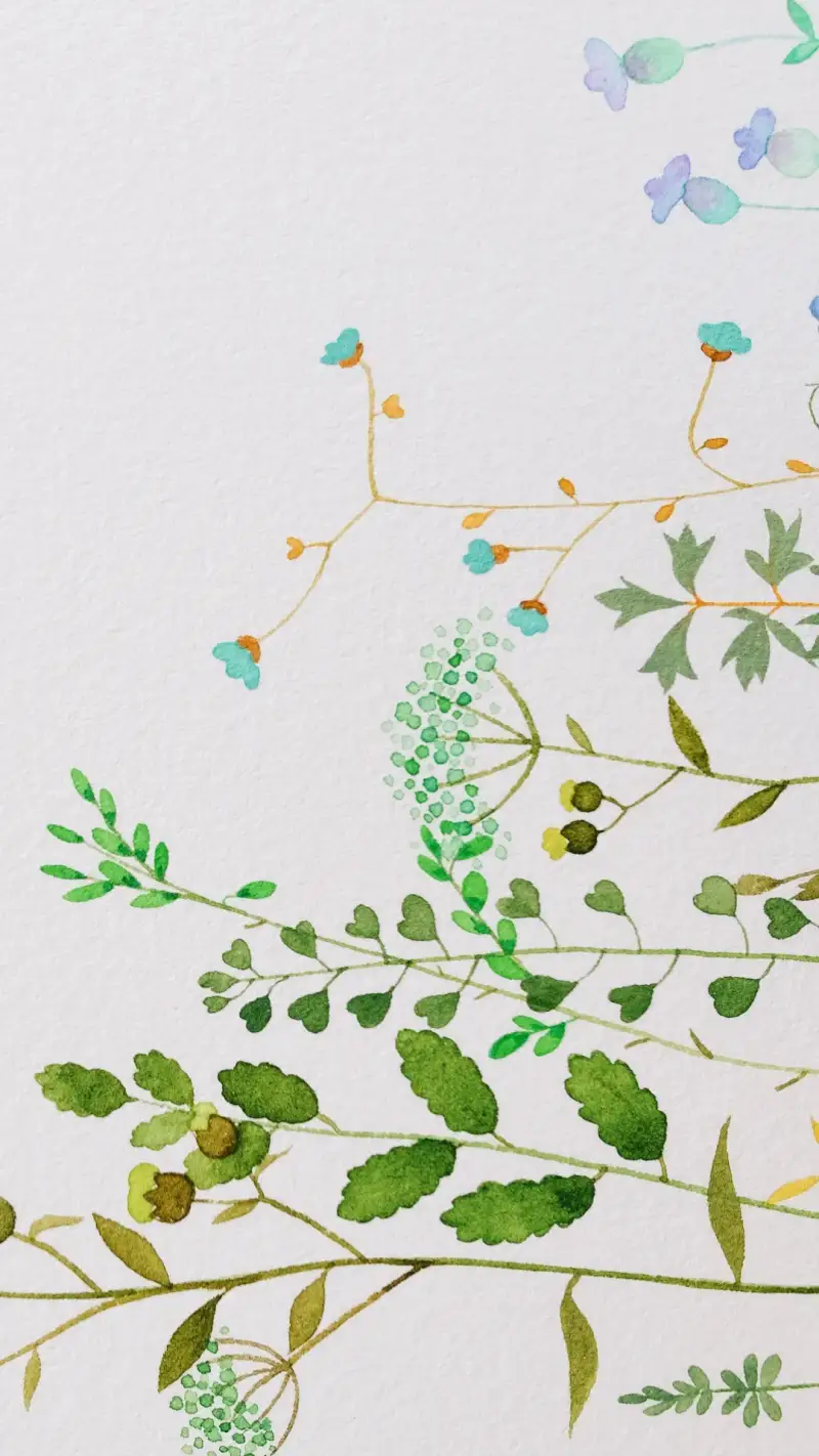 식물,꽃,보태니컬,수채화,수채패드