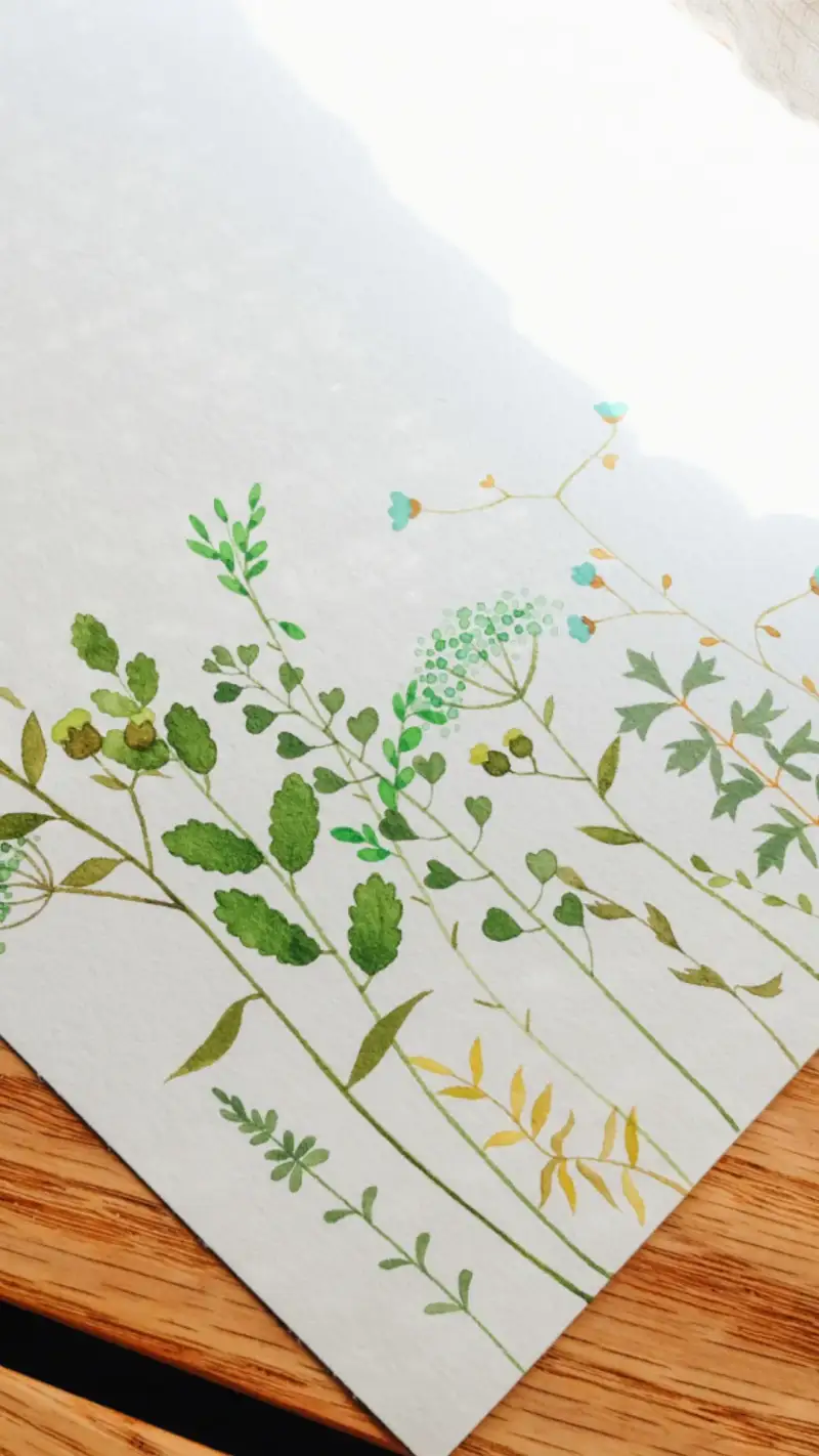 하네뮬레수채패드,하네뮬레컬렉션수채패드,하네뮬레,수채패드,식물,수채화