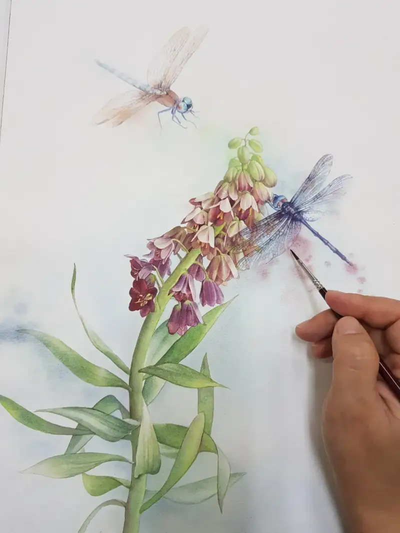 꽃,꽃그림,식물,보태니컬,보태니컬아트,잠자리,곤충
