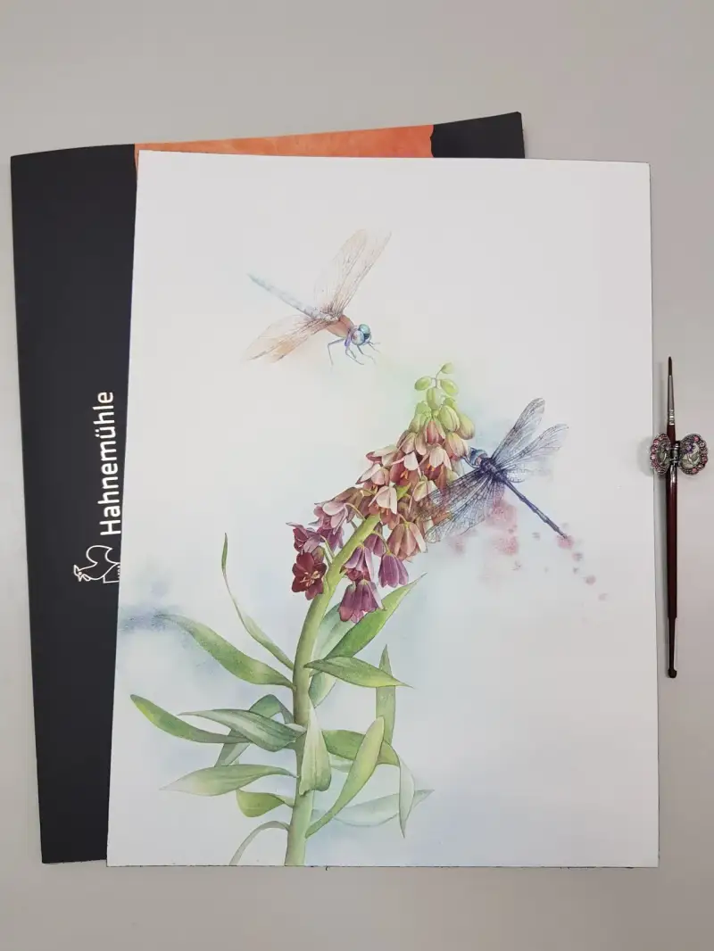 꽃,식물,잠자리,곤충,보태니컬아트,보태니컬