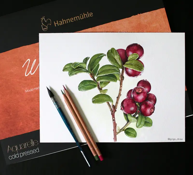 하네뮬레,하네뮬레컬렉션,하네뮬레컬렉션수채패드,하네뮬레수채패드,수채패드,색연필화