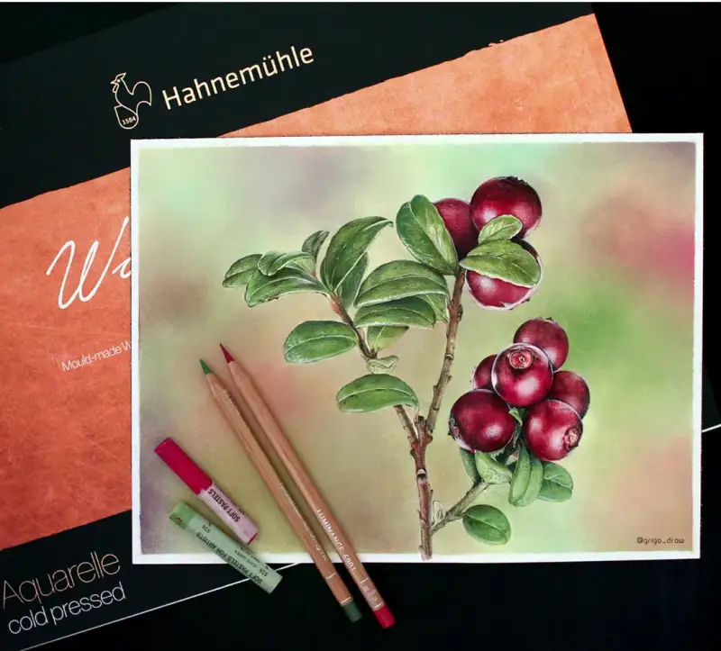 하네뮬레,하네뮬레컬렉션,하네뮬레컬렉션수채패드,하네뮬레수채패드,수채패드,색연필화,파스텔화