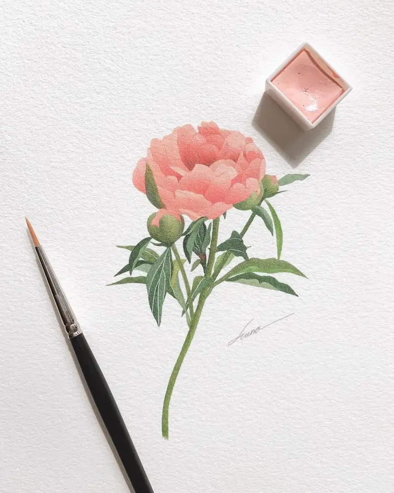 수채화,수채패드,수채화지,수채화용지,꽃,식물,보태니컬,하네뮬레컬렉션수채패드,하네뮬레,하네뮬레수채패드