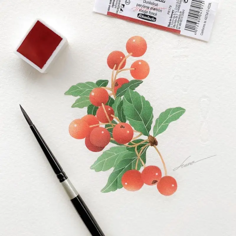 수채화,쉬민케호라담고체수채화물감,쉬민케수채화물감,쉬민케수채화,고체수채화물감,수채화그림,열매,과일,식물