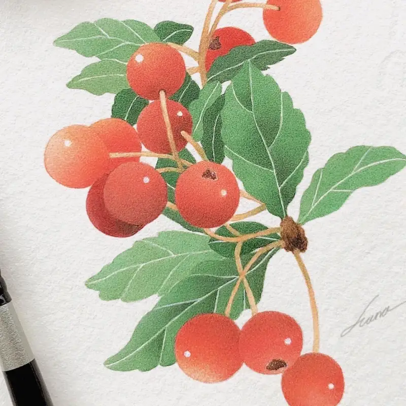 식물,수채화,열매,과일