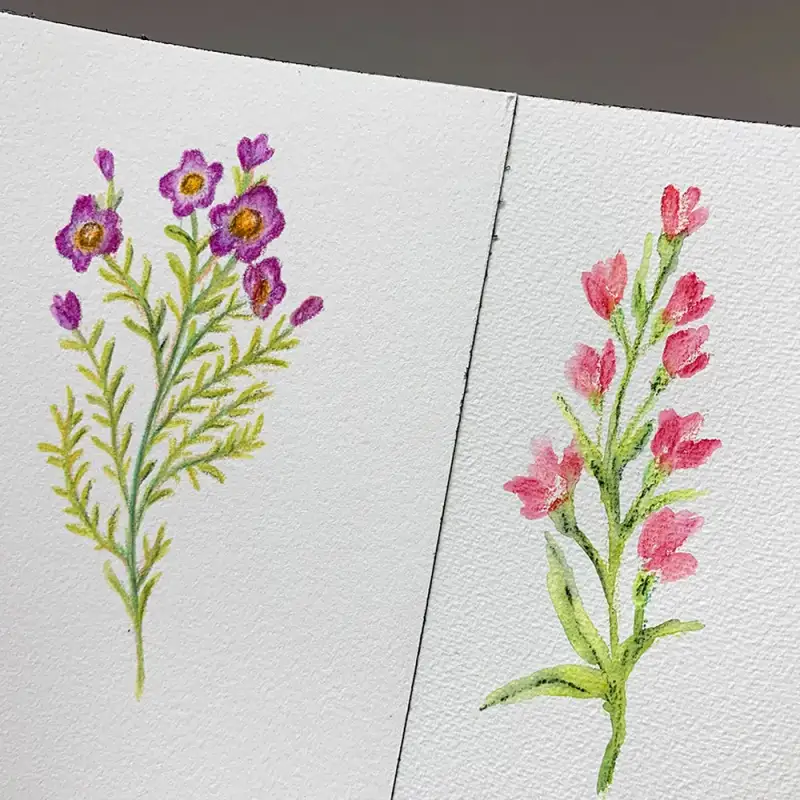 꽃,꽃그림,하네뮬레,하네뮬레컬렉션수채패드,하네뮬레수채패드,수채패드,하네뮬레스케치북