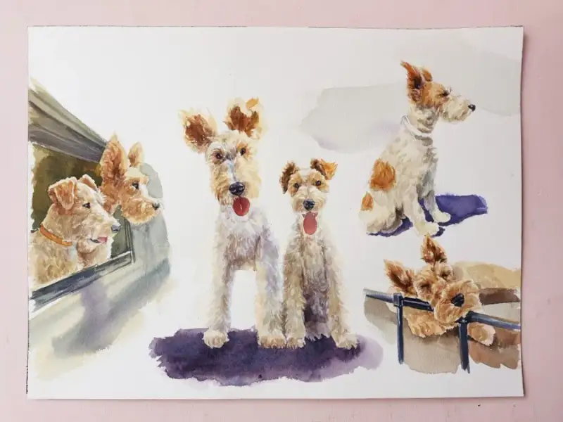 하네뮬레컬렉션수채패드중목