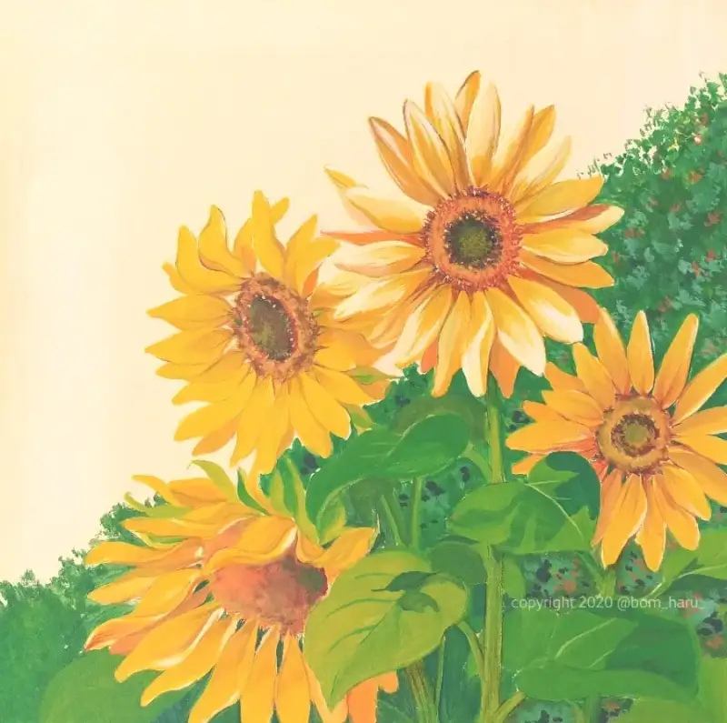 조선자,조소냐아크릴물감과슈,아크릴과슈,리퀴드아크릴