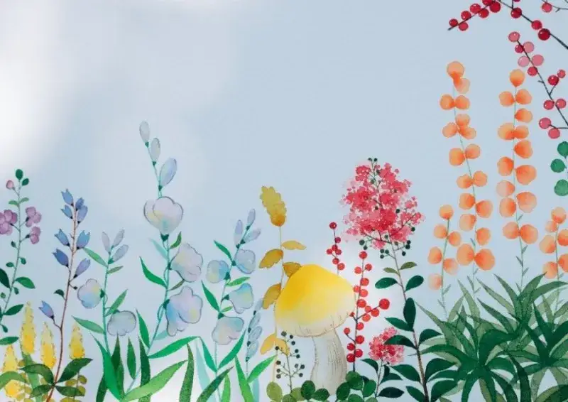 하네뮬레컬렉션수채패드,하네뮬레수채패드,하네뮬레,수채패드,수채화,수채화지,식물,열매,꽃,버섯,보태니컬