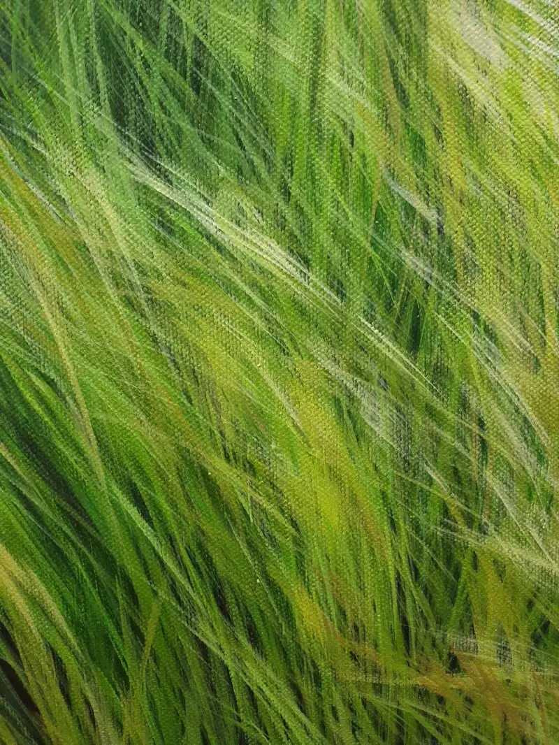 풀,풀잎,들판,초록,아크릴화,보태니컬,식물