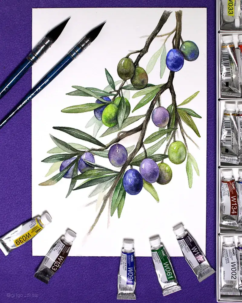 수채화,수채화그림,식물,올리브,수채화붓,보태니컬