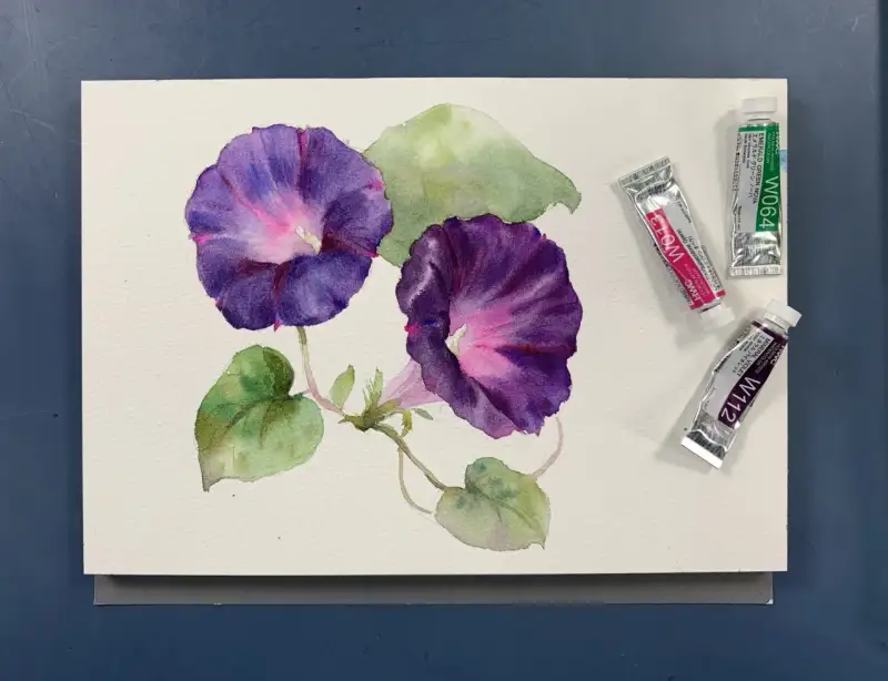 홀베인,수채화물감세트,홀베인수채화물감세트,수채화붓,sq-blackresable,blackresable,아크릴붓,블랙리세이블,다람쥐모,리세이블,라운드붓