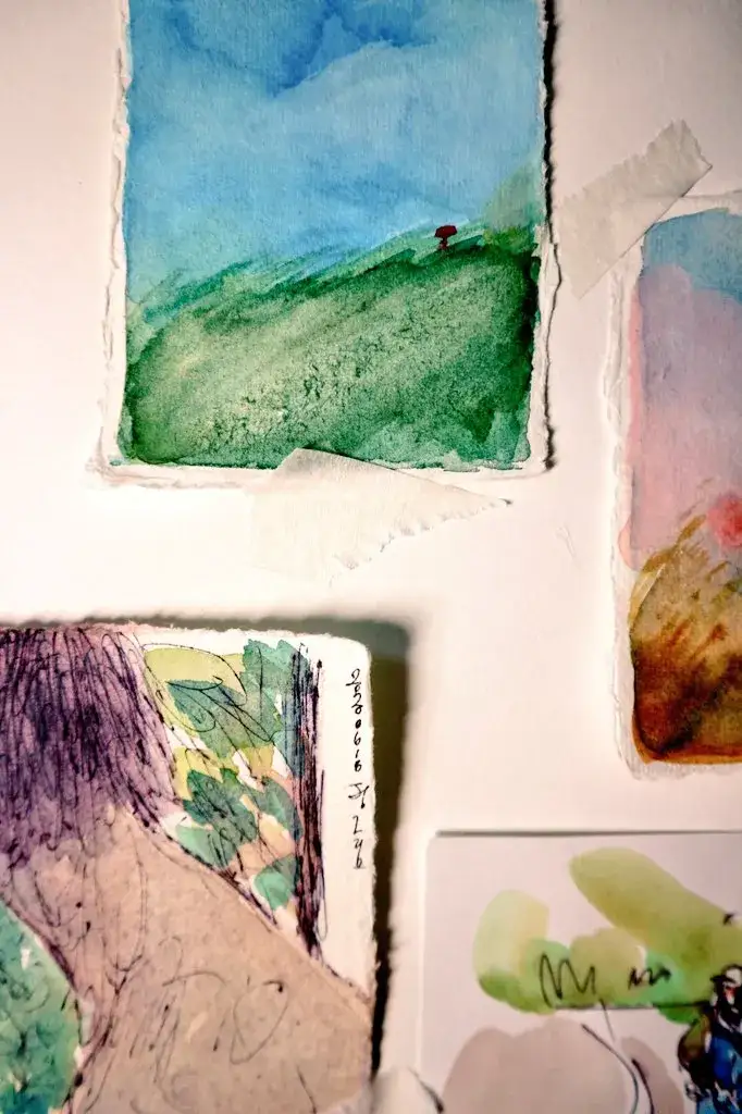 카디페이퍼,코튼페이퍼,카디페이퍼코튼페이퍼,황목