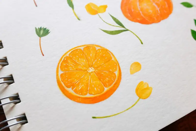 귤,수채화물감,과일,수채화