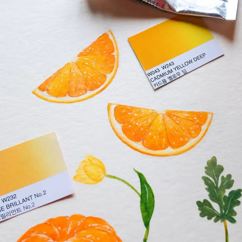 홀베인수채화,수채화물감,수채화,귤,꽃,과일,식물