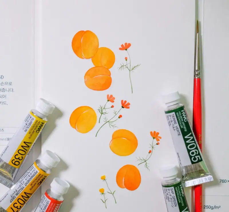 홀베인수채화물감,홀베인수채화,홀베인물감,수채화물감,식물,과일,꽃,코스모스,살구