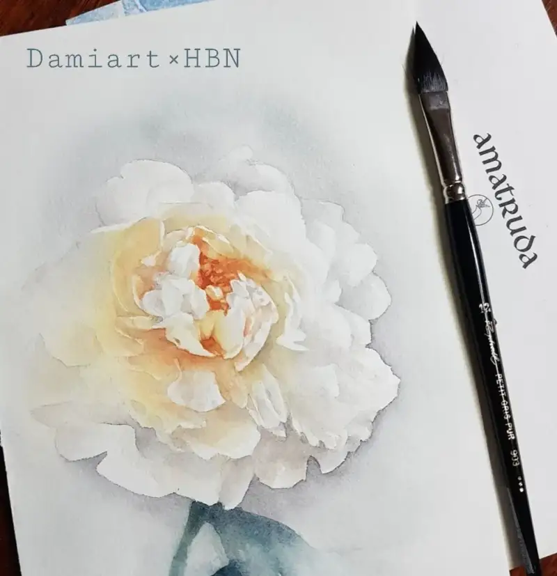 수채화붓,수채화,꽃,작약,보태니컬