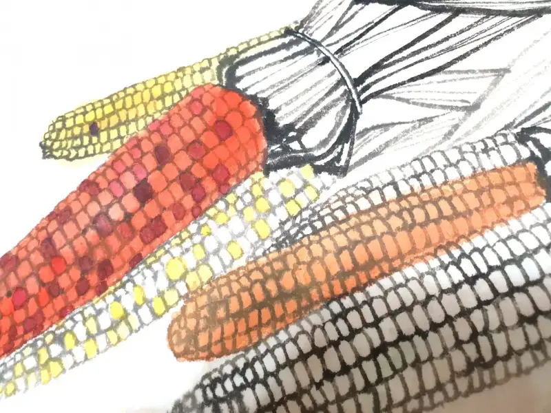 수묵화,수묵담채화,동양화,한국화,옥수수,야채,먹