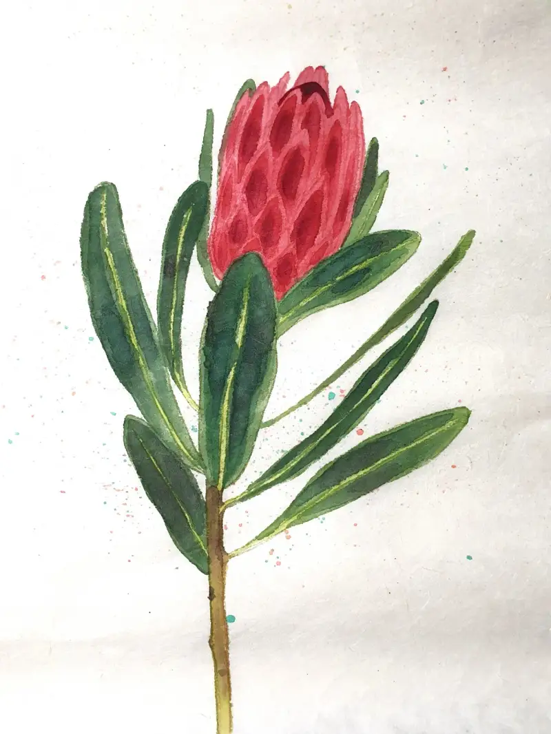 수묵화,수묵담채화,동양화,한국화,민화,먹,꽃,식물