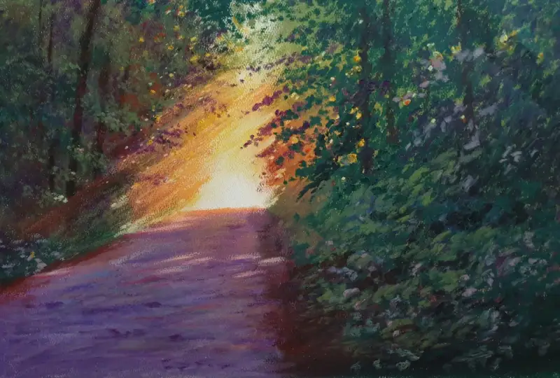 길,숲속,숲길,숲,나무,햇빛,산,풍경