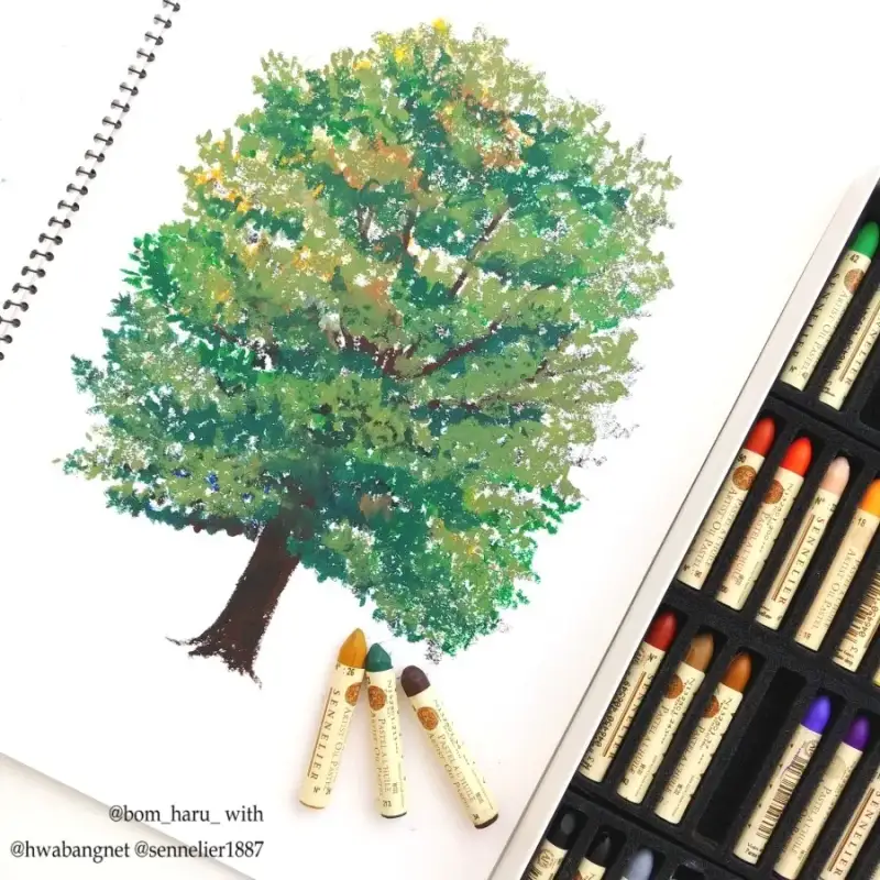 시넬리에오일파스텔,전문가용오일파스텔