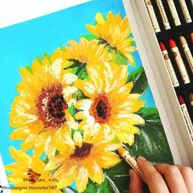 시넬리에오일파스텔,전문가용오일스텔