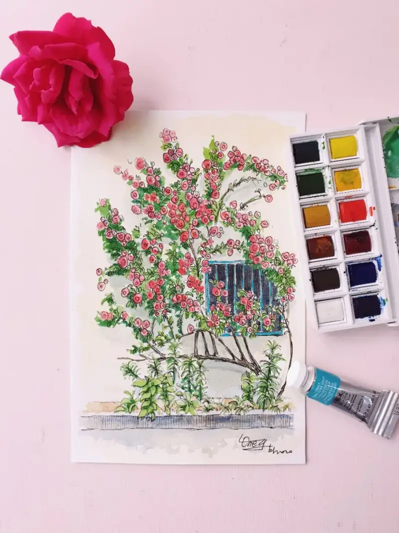 윈저앤뉴튼코트만고체물감,윈저앤뉴튼수채화고체물감,윈저앤뉴튼수채고체케익,윈저앤뉴튼튜브물감