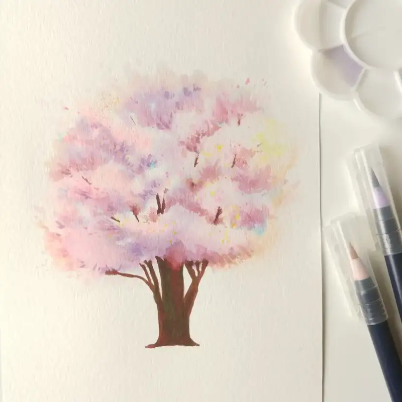 아카시아붓펜켈라그라피펜