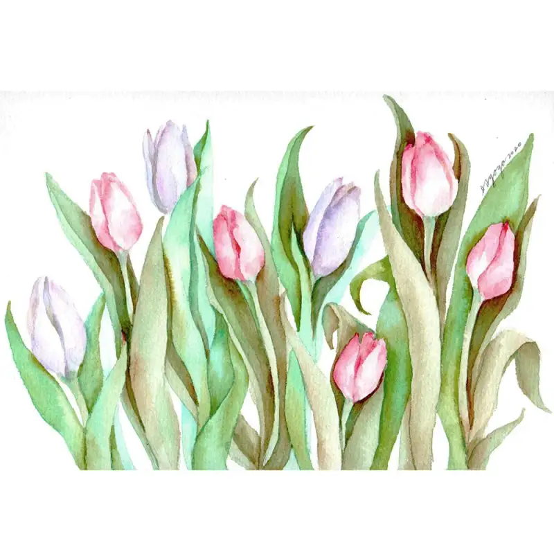 수채화,고체수채,꽃,튤립,꽃그림,식물,보태니컬,꽃수채화