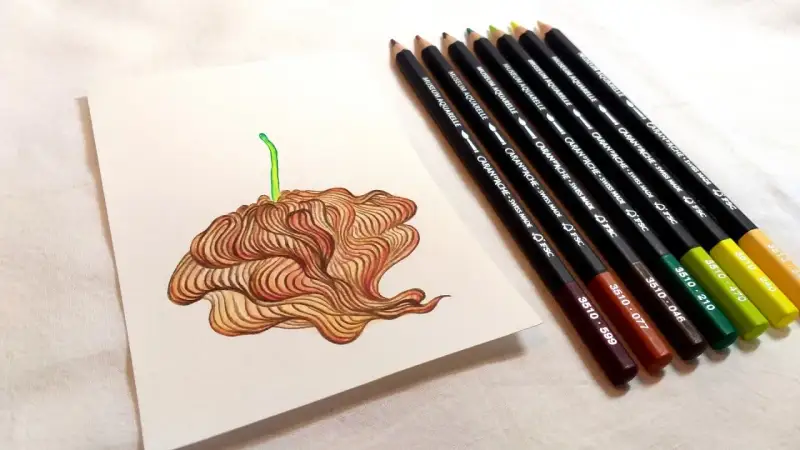 귀리새싹,귀리,새싹,보태니컬