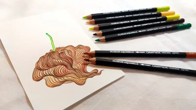 귀리,귀리새싹,새싹,식물