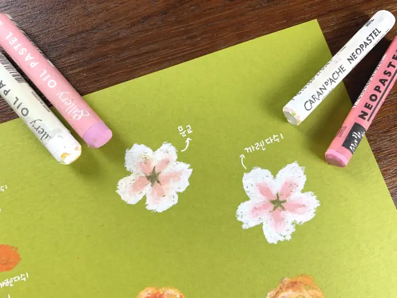 문교아티스트소프트오일파스텔,까렌다쉬네오파스텔오일파스텔세트,오일파스텔비교