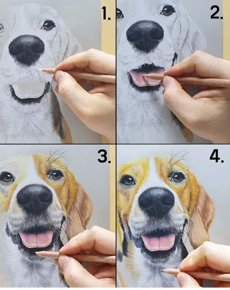 까렌다쉬,까렌다쉬루미넌스,색연필화,색연필단계,정밀묘사