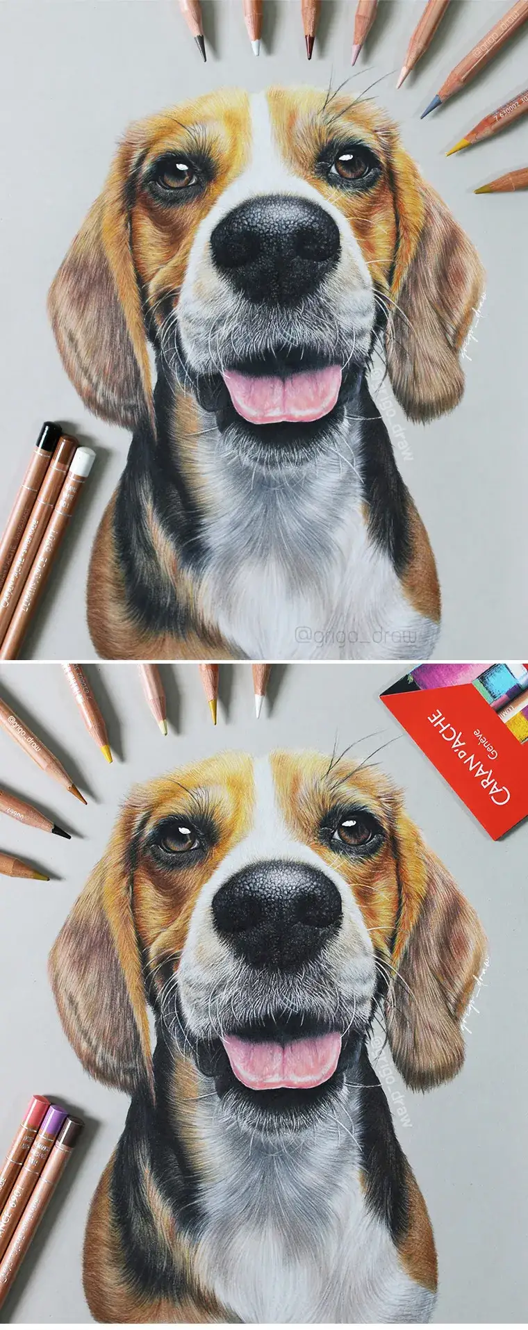 색연필화,까렌다쉬루미넌스,강아지,동물화