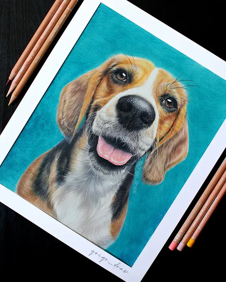 까렌다쉬색연필,색연필화,색연필동물,동물화,강아지