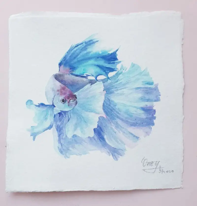 카디페이퍼코튼페이퍼320g황목,수채화종이,수제종이