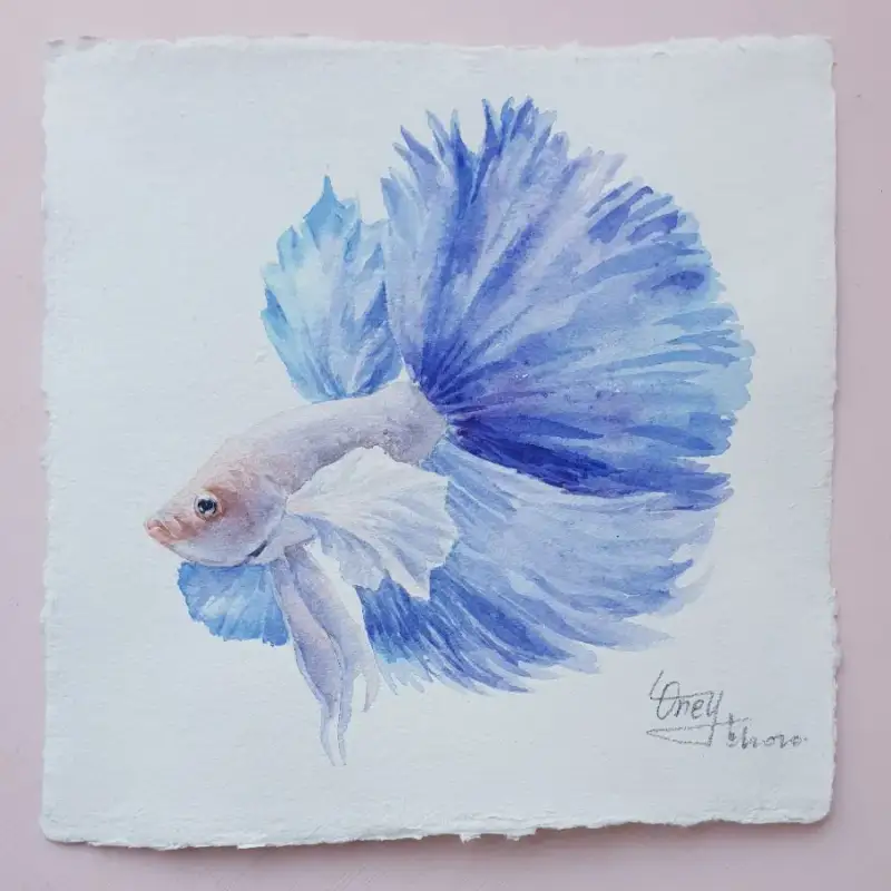 카디페이퍼코튼페이퍼황목,수제종이,수채화종이