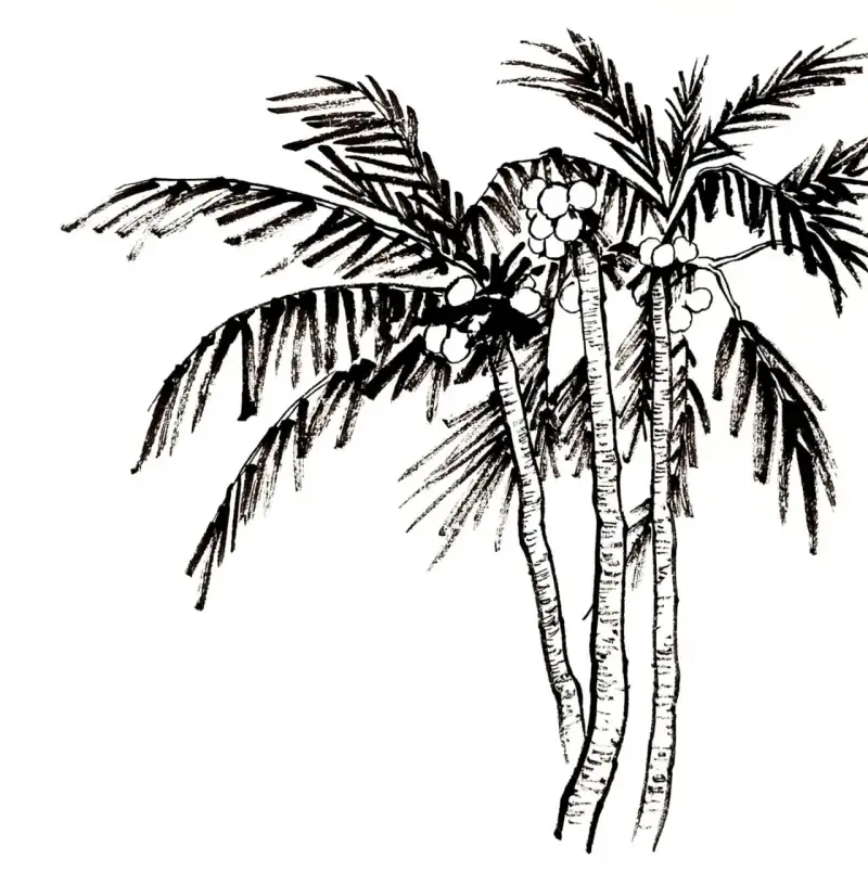 야자수,동양화,한국화,나무