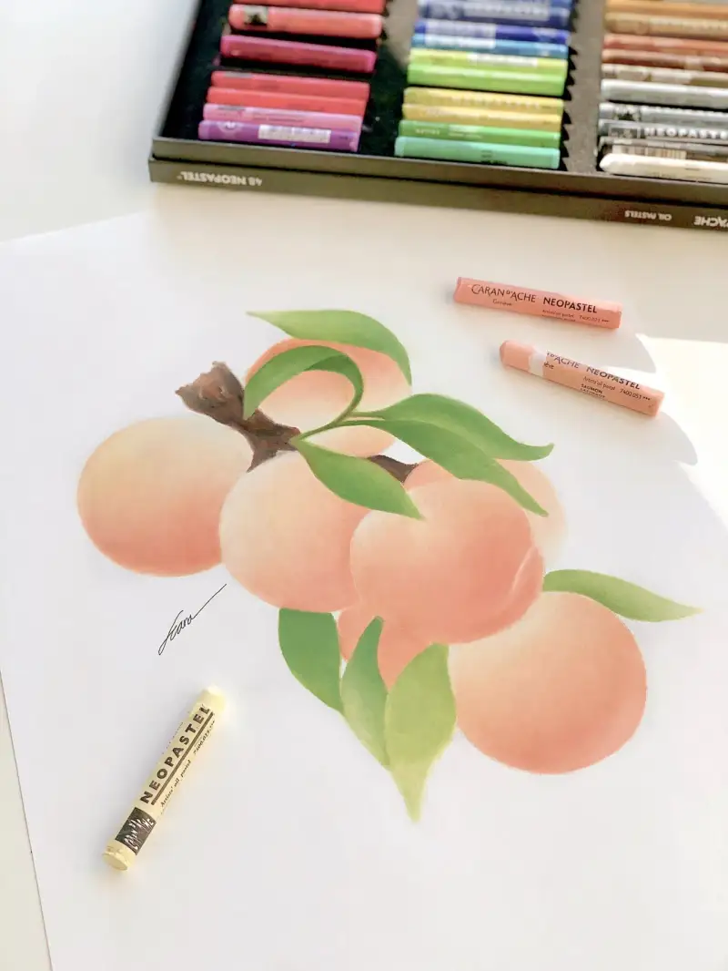 까렌다쉬네오파스텔오일파스텔,까렌다쉬오일파스텔,네오파스텔오일파스텔,오일파스텔세트,복숭아,과일,과일그림