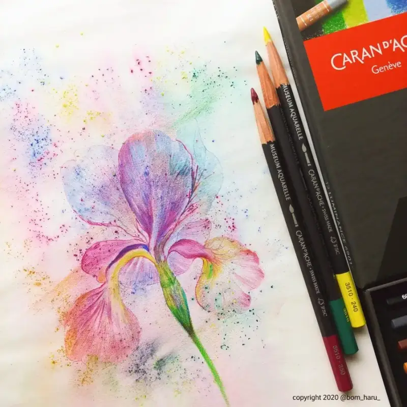 까렌다쉬뮤지엄아쿠아렐수채색연필,까렌다쉬루미넌스6901유성색연필,까렌다쉬전문가용색연필